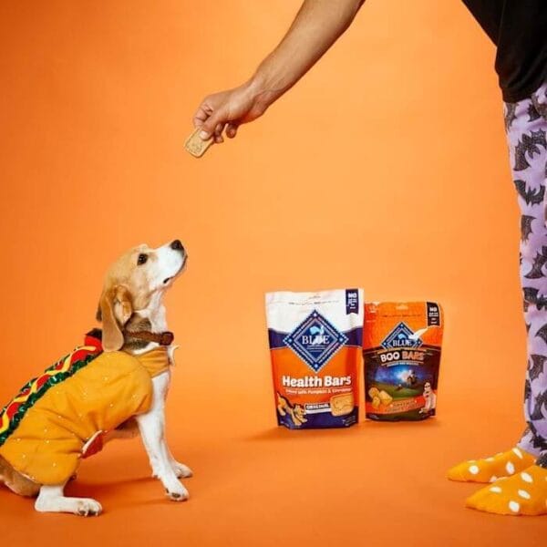 Healthy and tasty Health Bars Blue Buffalo crunchy dog biscuits, 16 oz bag, featuring pumpkin and cinnamon.