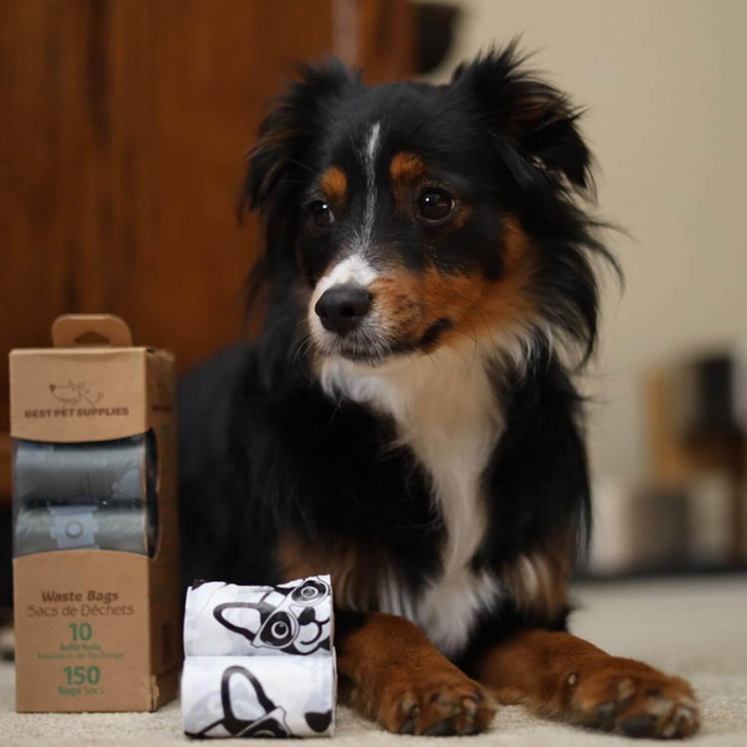 A dog plays with a gray leak-proof poop bag from Best Pet Supplies, highlighting its durability.