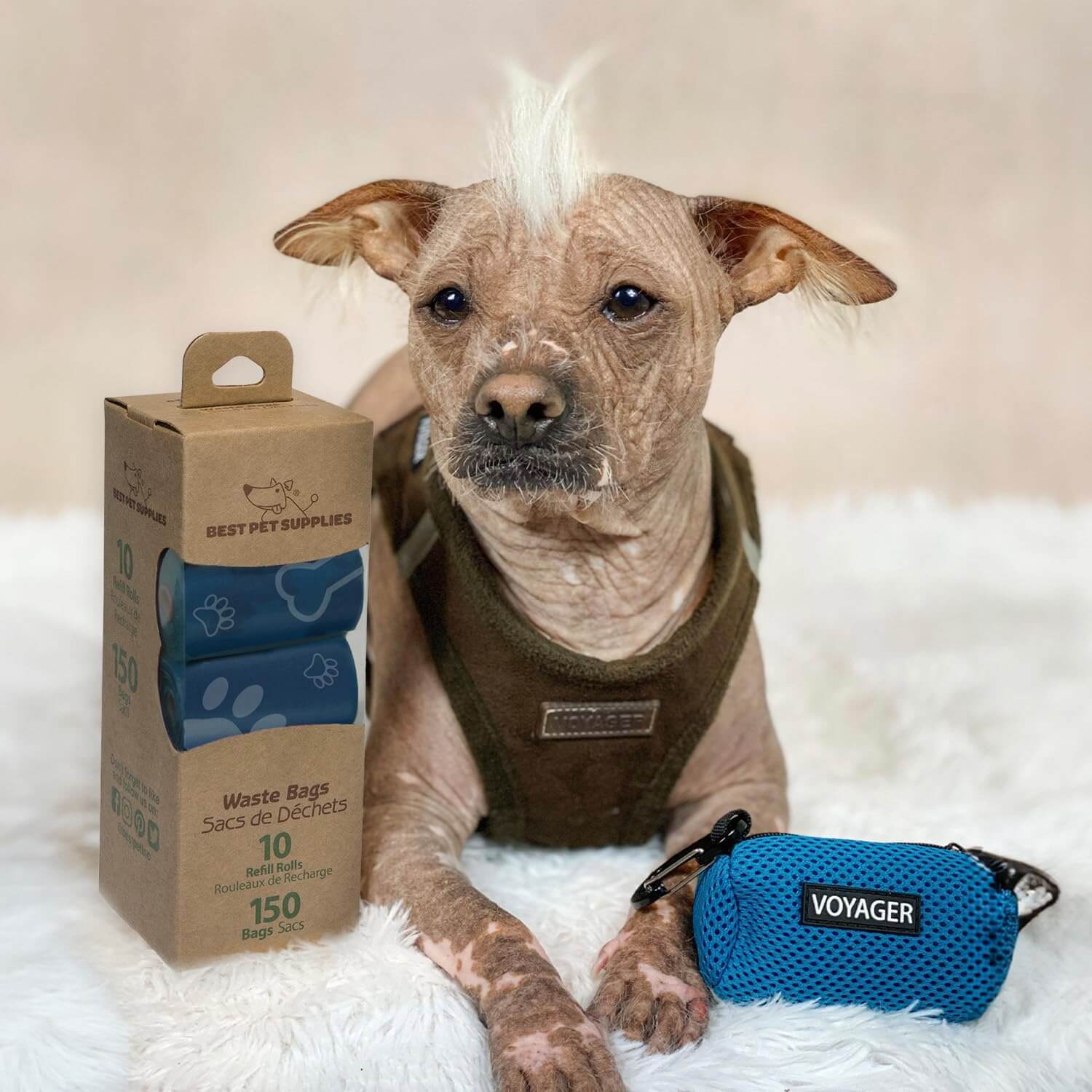 A dog interacting with a blue leak-proof poop bag from Best Pet Supplies, showing its durability and design