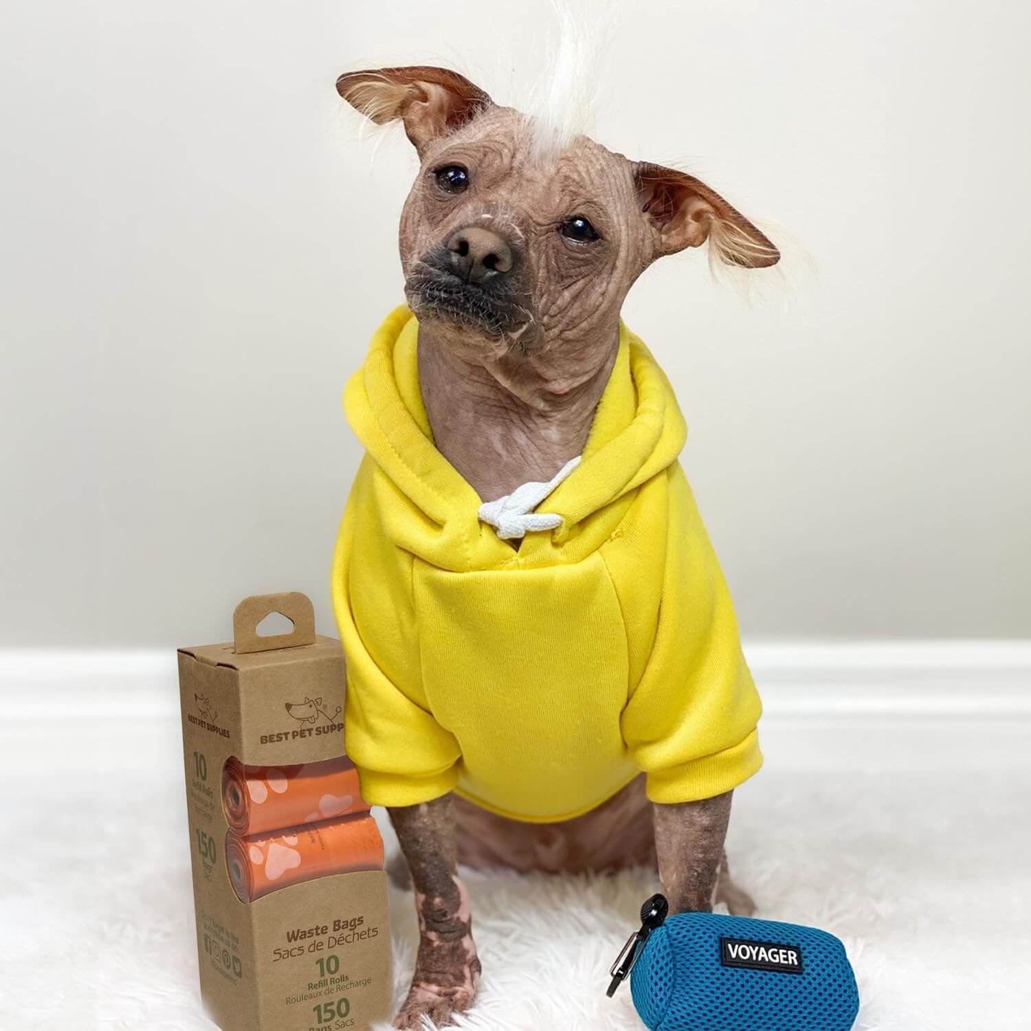 A dog playing with an orange leak-proof poop bag, showcasing its strength