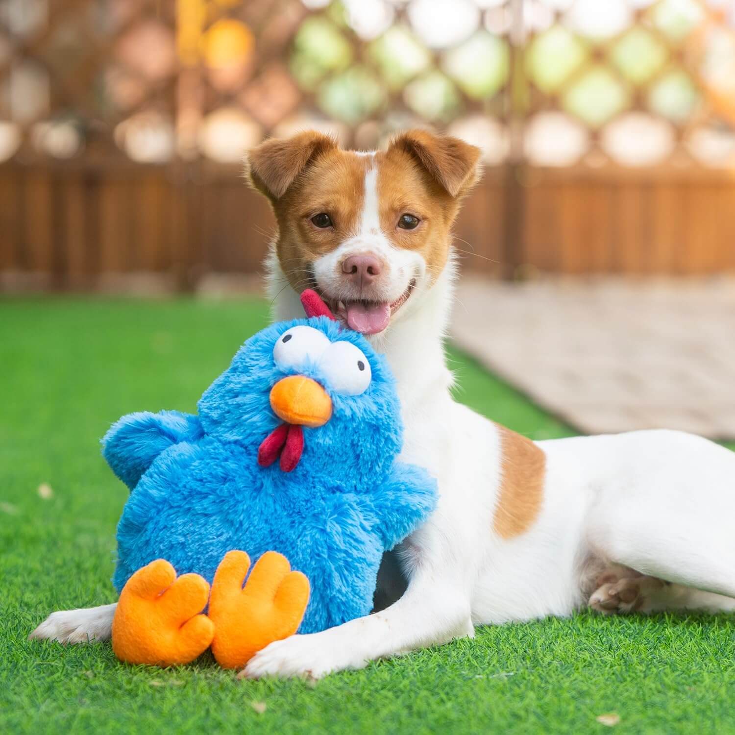Soft & Durable Squeaky Plush Chew Toy – Mrs. Cluck (Blue) for Puppies & Dogs