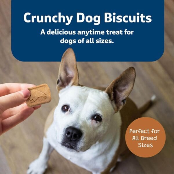 Blue Buffalo Health Bars Crunchy Dog Biscuits, Pumpkin & Cinnamon, a healthy dog treat option.