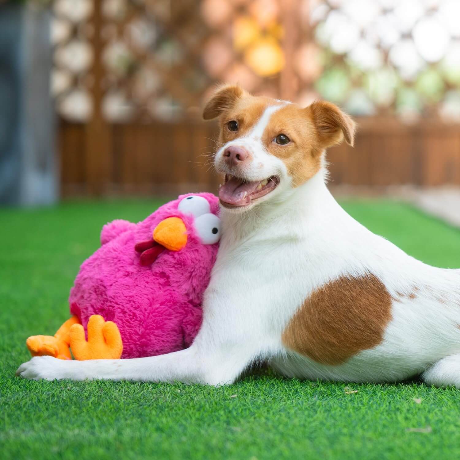 Soft & Durable Squeaky Plush Dog Toy – Mrs. Cluck (Pink) for Puppies & Dogs