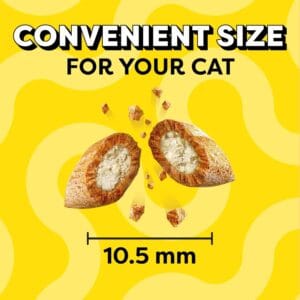 Chicken Flavored Crunchy Cat Treats – 16 oz Tub