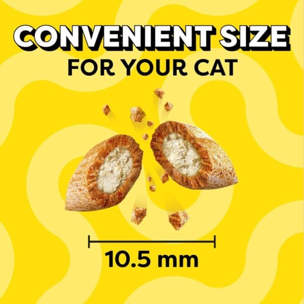 Chicken Flavored Crunchy Cat Treats – 16 oz Tub