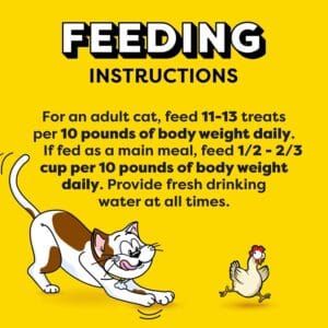 Temptations Crunchy Cat Treats for Healthy Cat Snacking