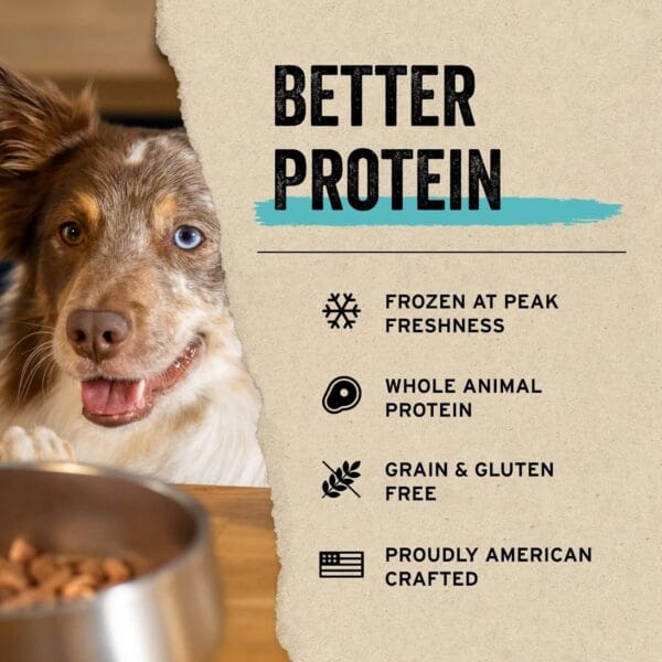 Freeze-Dried Raw Beef Liver Dog Treats from Vital Essentials – Grain-Free, High-Protein