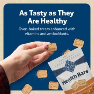Natural Blue Buffalo Health Bars crunchy dog biscuits made with pumpkin and cinnamon.