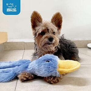 Best Pet Supplies Blue Duck Squeaky Chew Toy for Dogs – Crinkle Toy for All Breeds